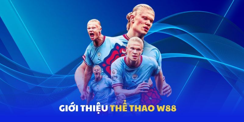 Giới thiệu sơ lược về sảnh cược W88 thể thao