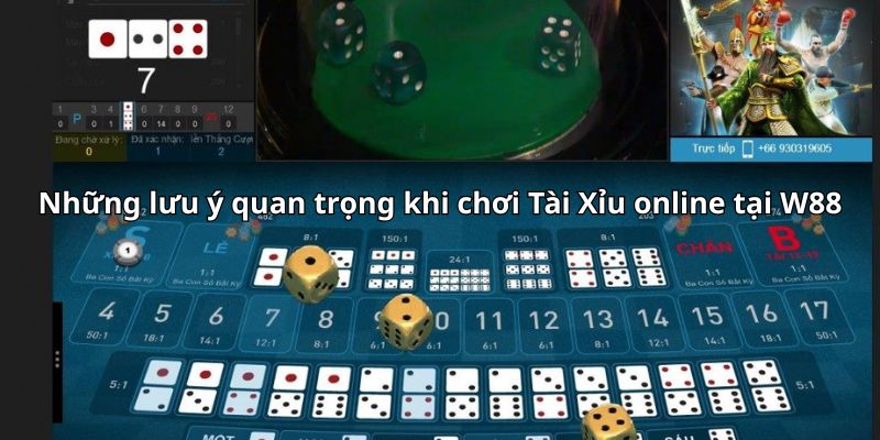 Những lưu ý quan trọng khi chơi Tài Xỉu online tại W88